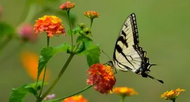 crematorium tilburg tijdelijk
